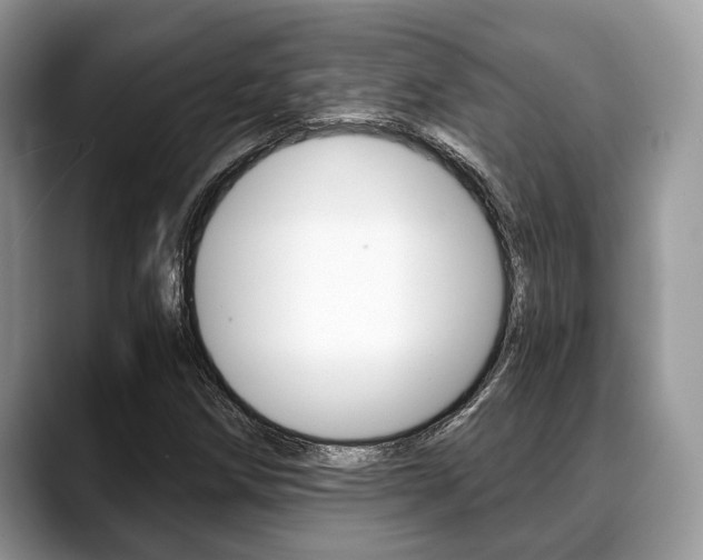 X0000088891258200706080759
