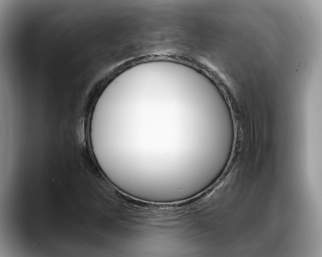 X0000088891262200706080759