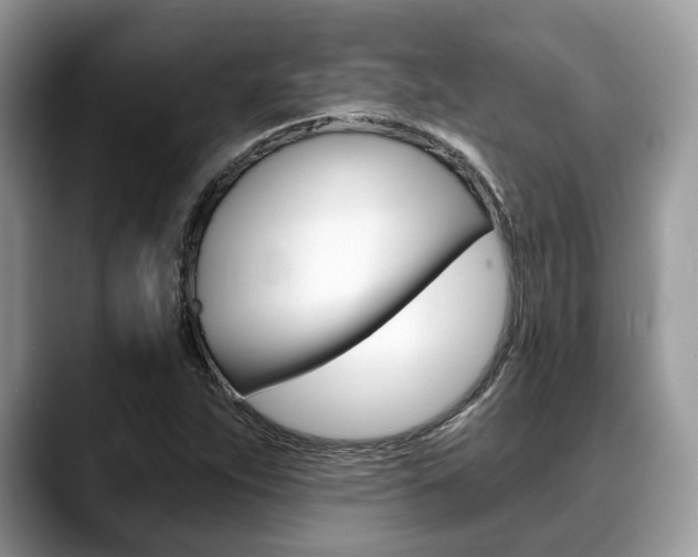 X0000088891263200706080759