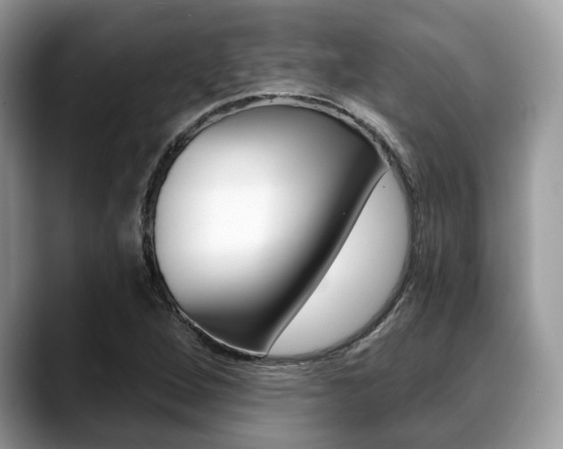 X0000088891264200706080759