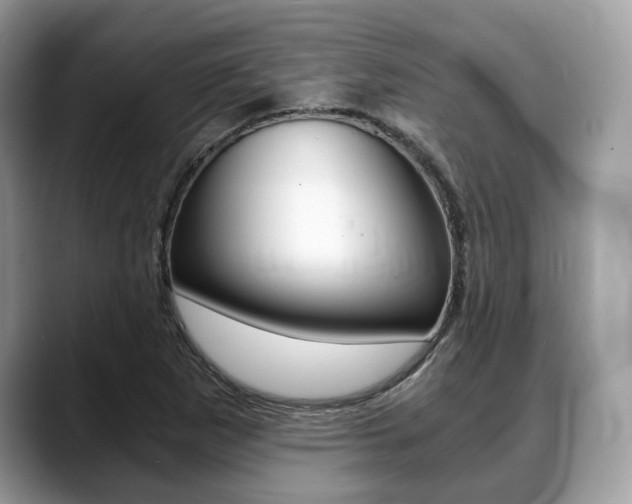 X0000088891265200706080759