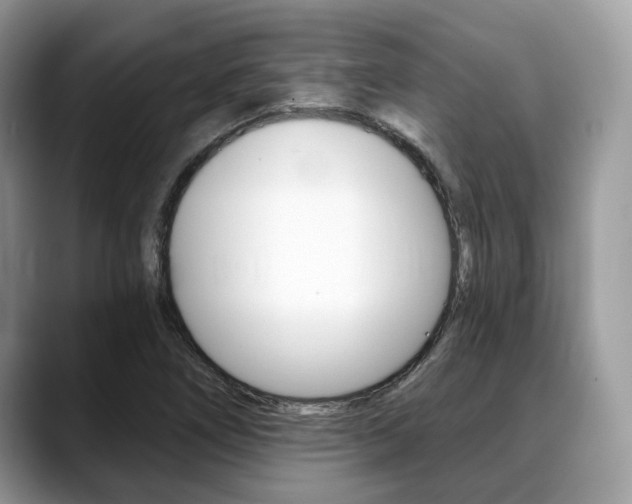 X0000088891266200706080759