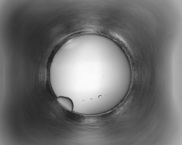 X0000088891267200706080759