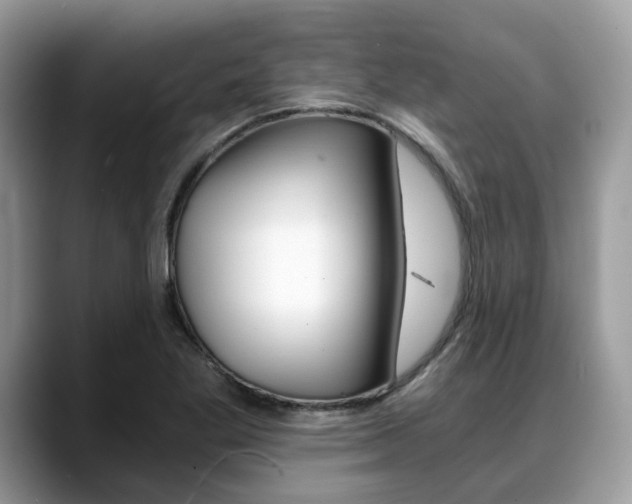 X0000088891269200706080759