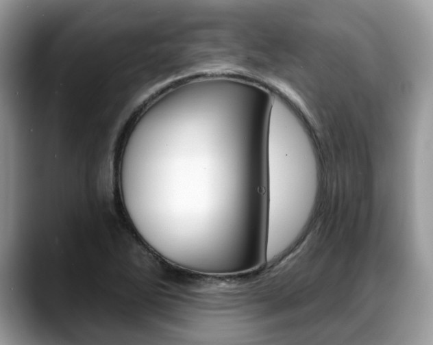 X0000088891270200706080759