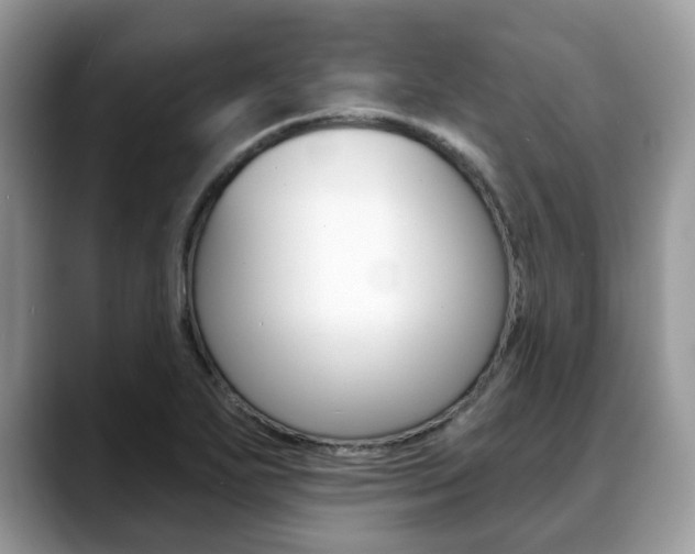 X0000088891271200706080759