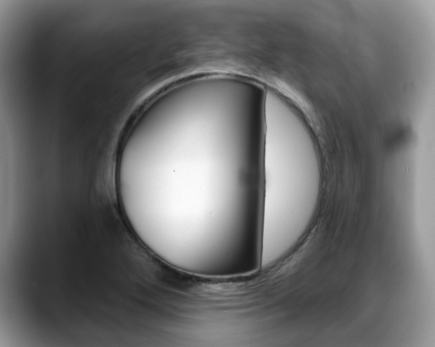 X0000088891272200706080759