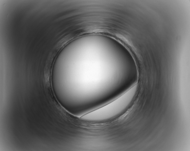 X0000088891273200706080759