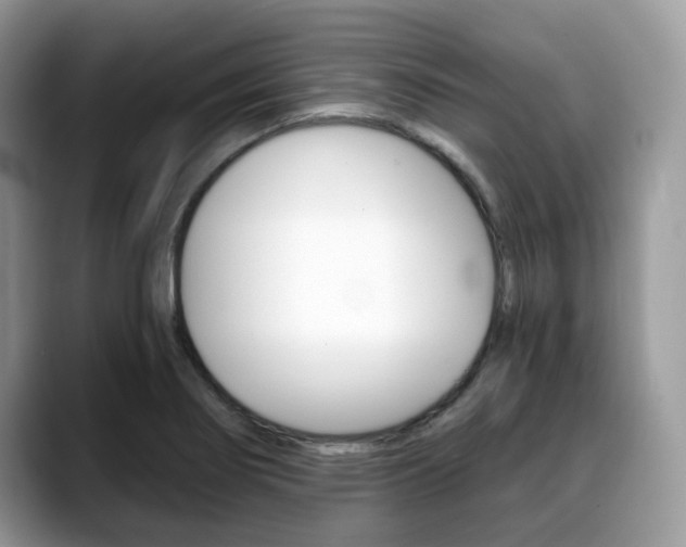 X0000088891274200706080759