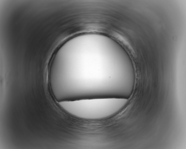 X0000088891275200706080759