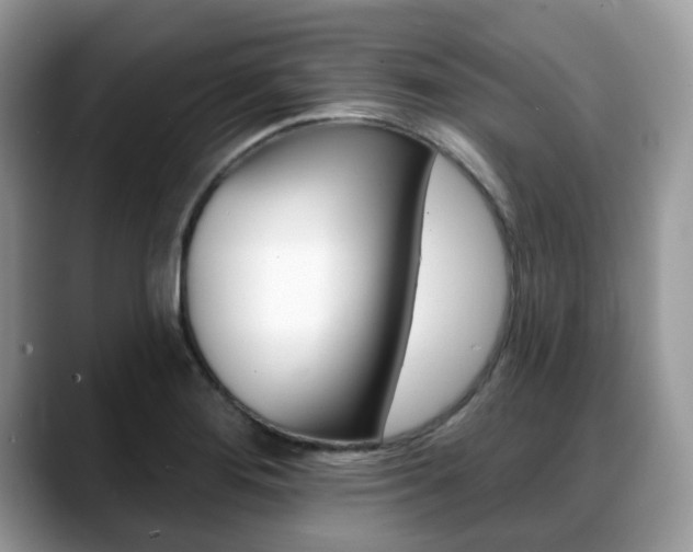 X0000088891276200706080759