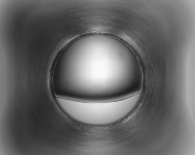 X0000088891277200706080759
