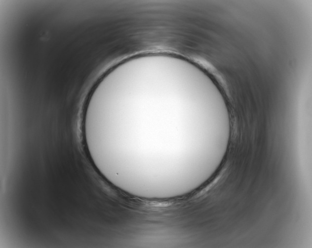 X0000088891278200706080759
