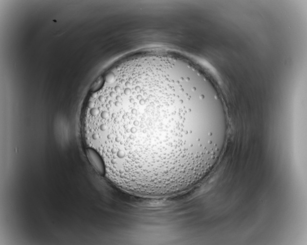 X0000088891279200706080759