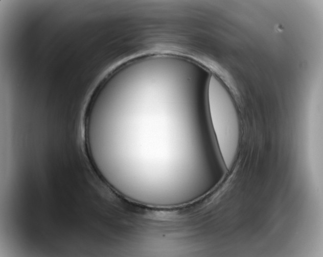 X0000088891280200706080759