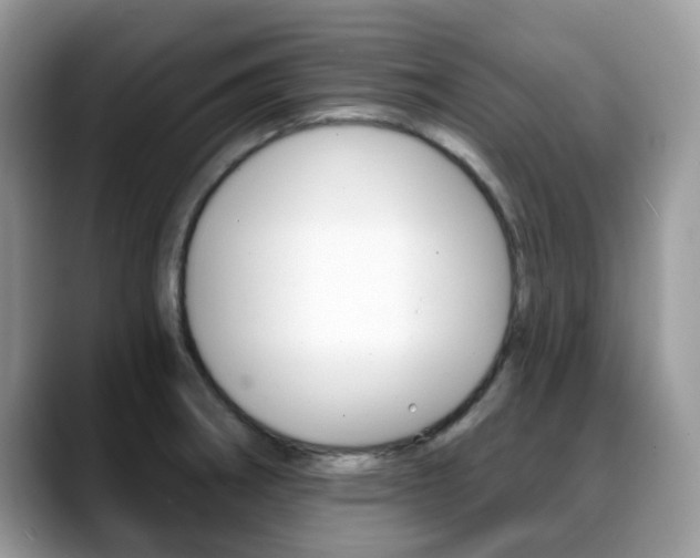 X0000088891282200706080759