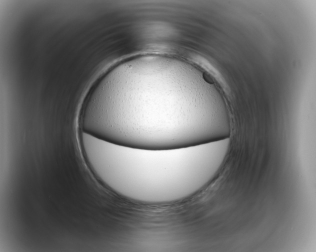 X0000088891283200706080759