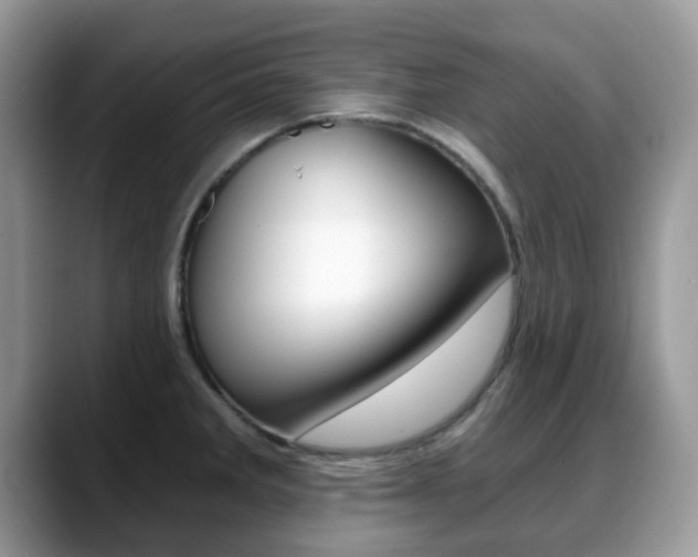 X0000088891285200706080759