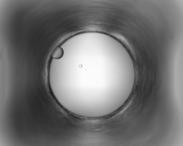 X0000088891286200706080759