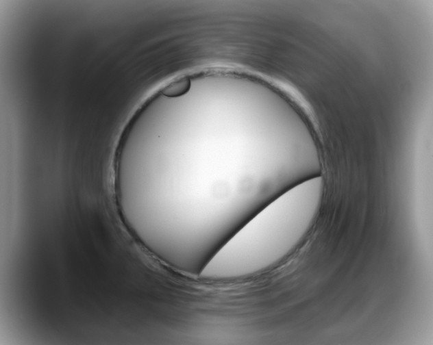 X0000088891287200706080759