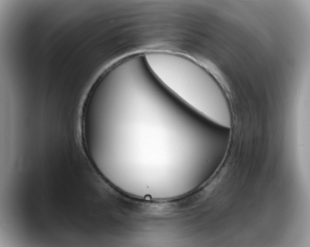 X0000088891288200706080759