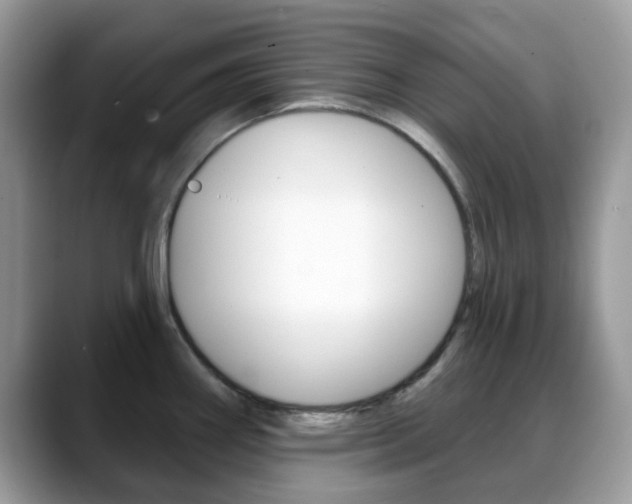 X0000088891290200706080759