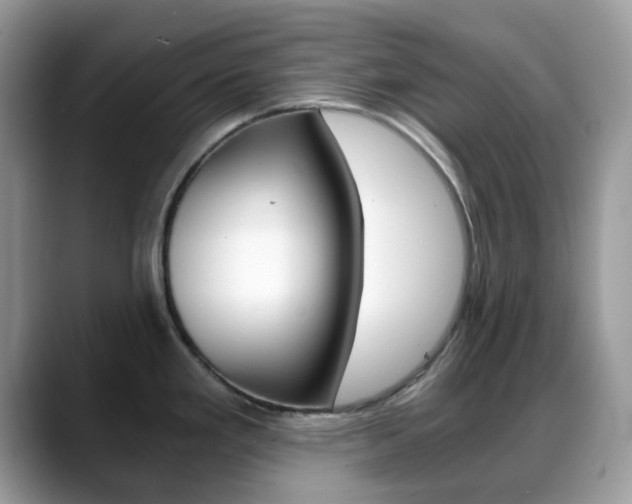 X0000088891293200706080759