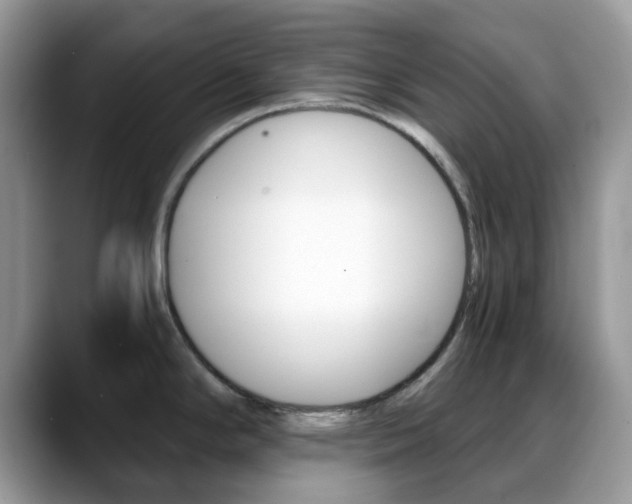 X0000088891294200706080759