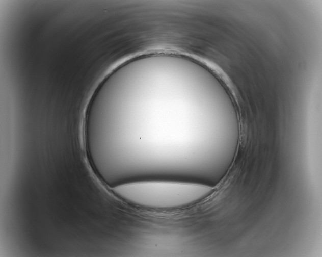 X0000088891295200706080759