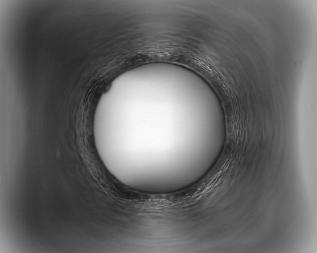 X0000088891297200706080758