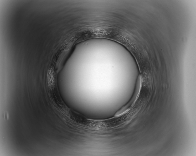 X0000088891298200706080758
