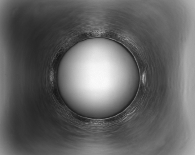 X0000088891299200706080758