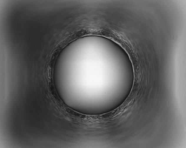 X0000088891301200706080758