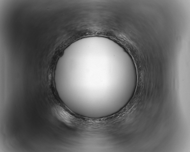 X0000088891302200706080758