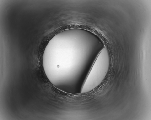 X0000088891303200706080758