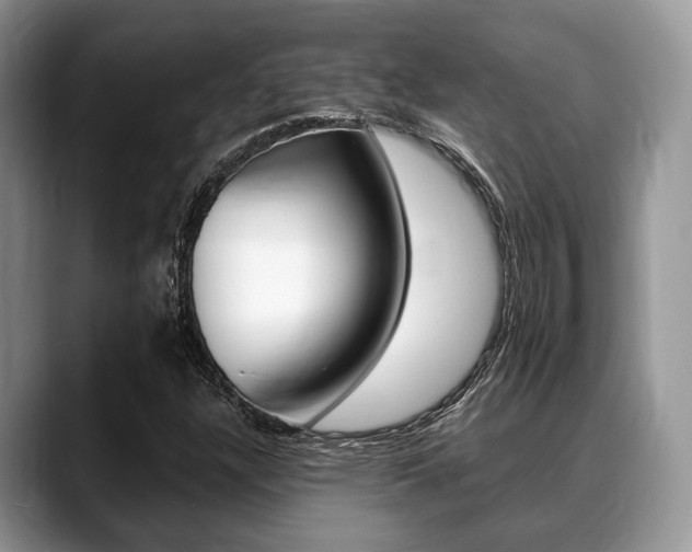 X0000088891304200706080758