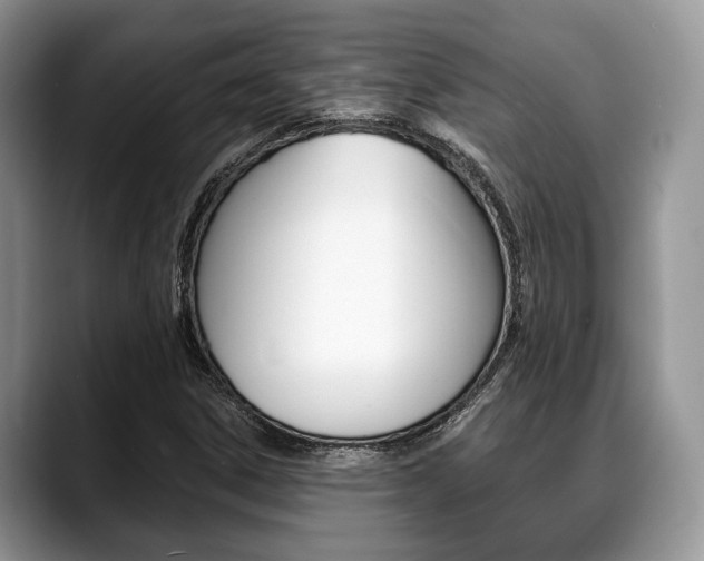 X0000088891306200706080758