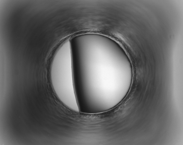 X0000088891307200706080758