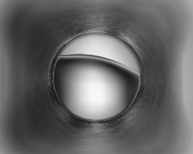 X0000088891308200706080758