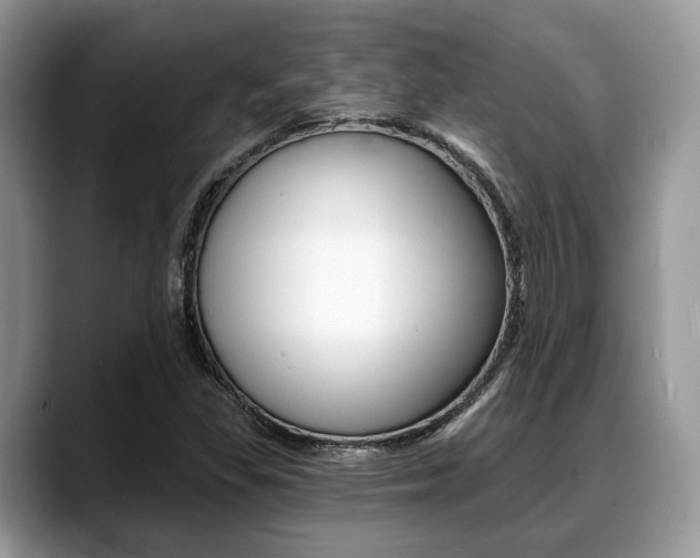 X0000088891309200706080758