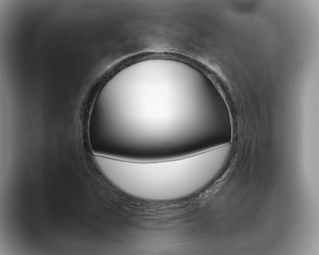 X0000088891311200706080758