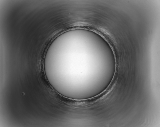 X0000088891313200706080758