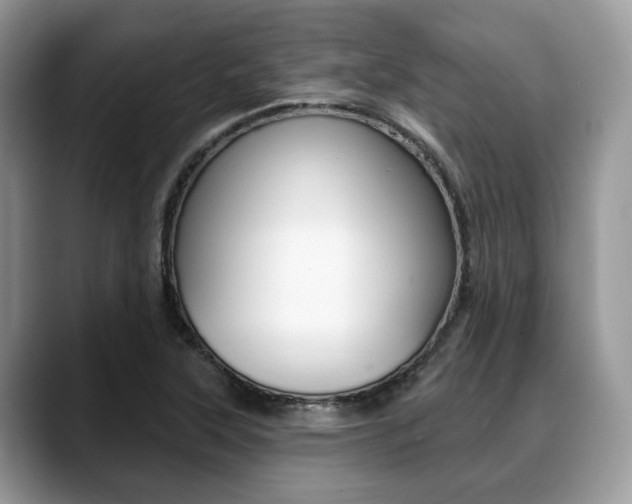 X0000088891315200706080758