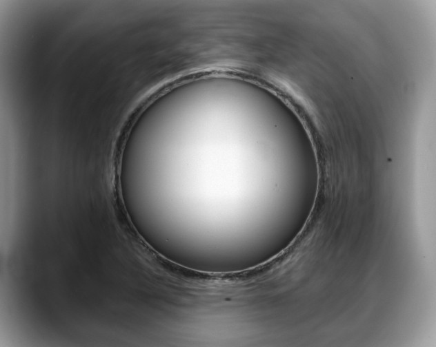 X0000088891316200706080758