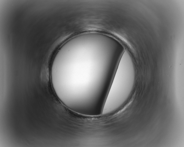 X0000088891317200706080758