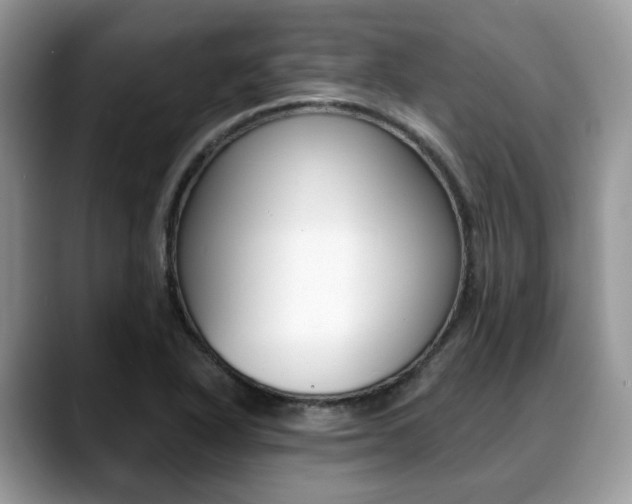 X0000088891318200706080758