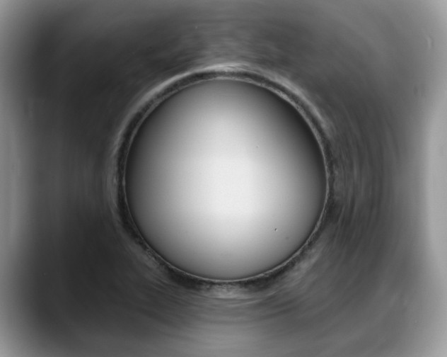 X0000088891319200706080758