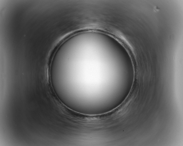 X0000088891320200706080758