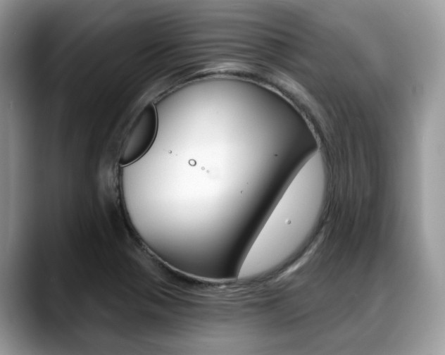 X0000088891321200706080758