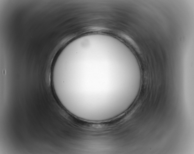 X0000088891322200706080758